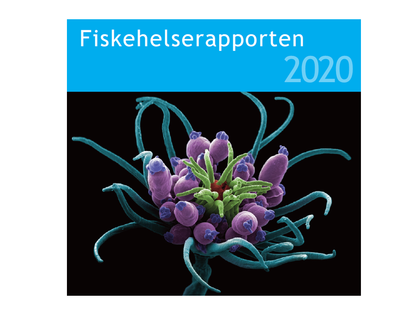 Fiskehelserapporten 2020