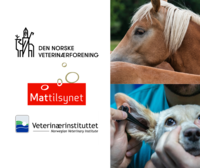 Retningslinjer for håndtering av kjæledyr og hest smittet med antibiotikaresistente bakterier