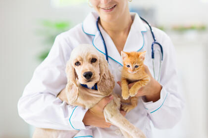 Veterinær med hund og katt