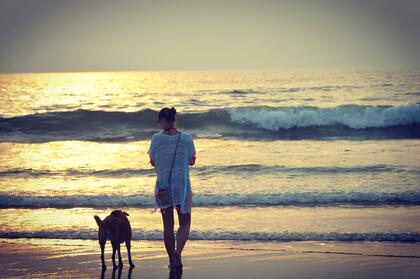 Hund og eier på stranden i solnedgang
