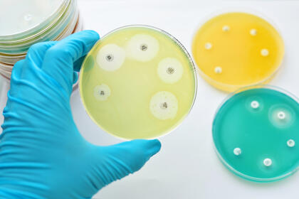 Test av antibiotikaresistens i petriskåler