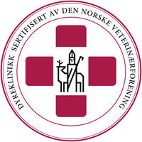 "sertifisert av dnv" logo